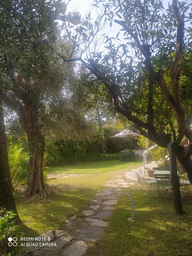 Pergolato Junior Apartment