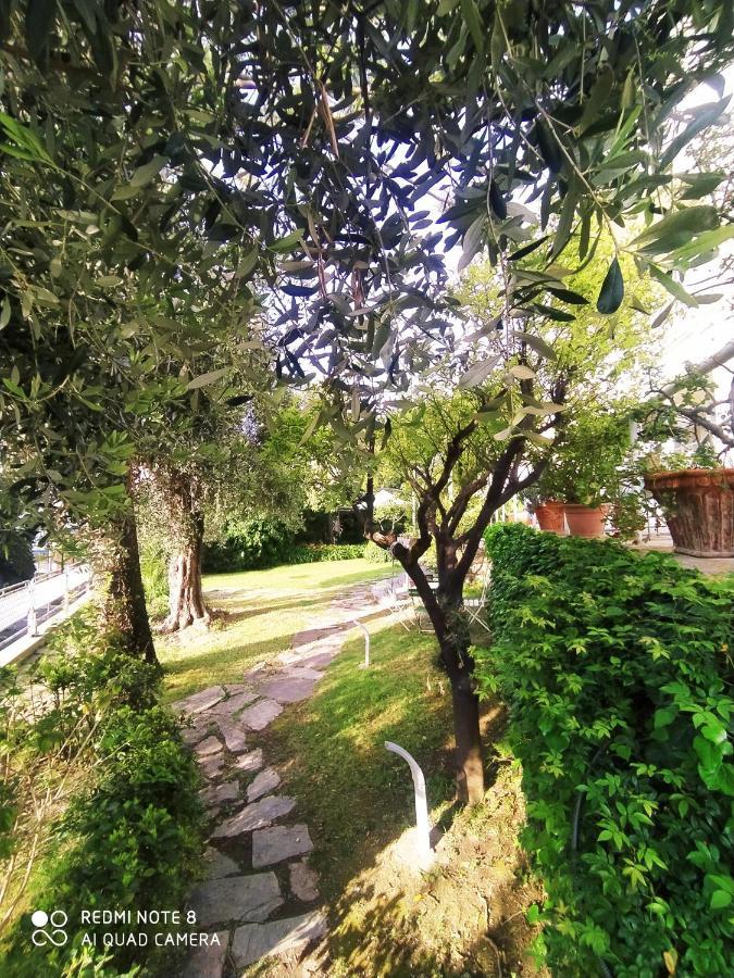 Appartement Pergolato Junior